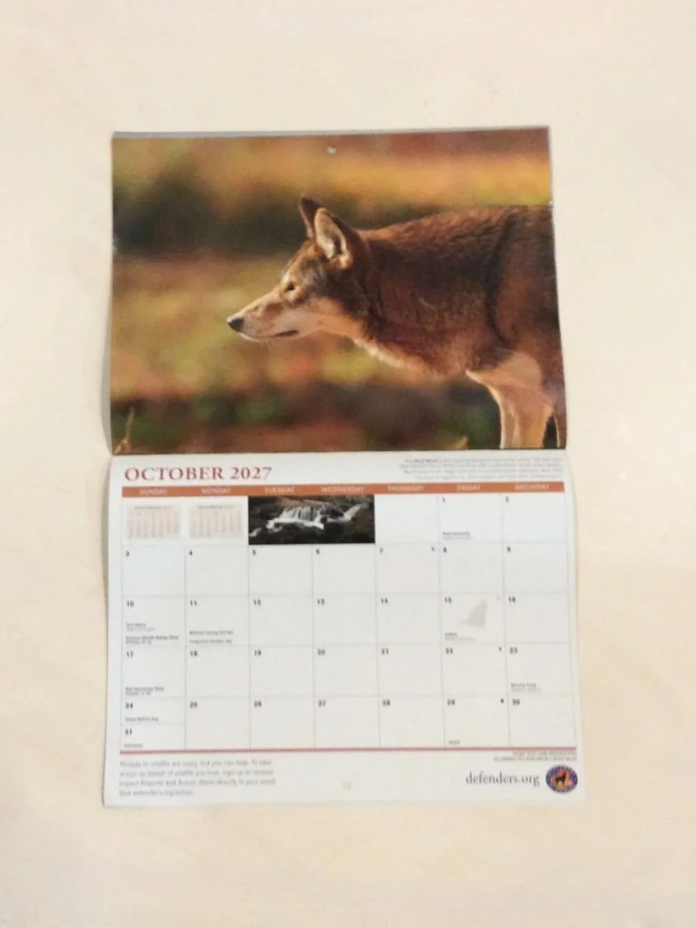 Defenders of Wildlife 2026-2027 Eighteen-Month Calendar